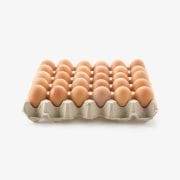 Chicken Eggs (Demo)